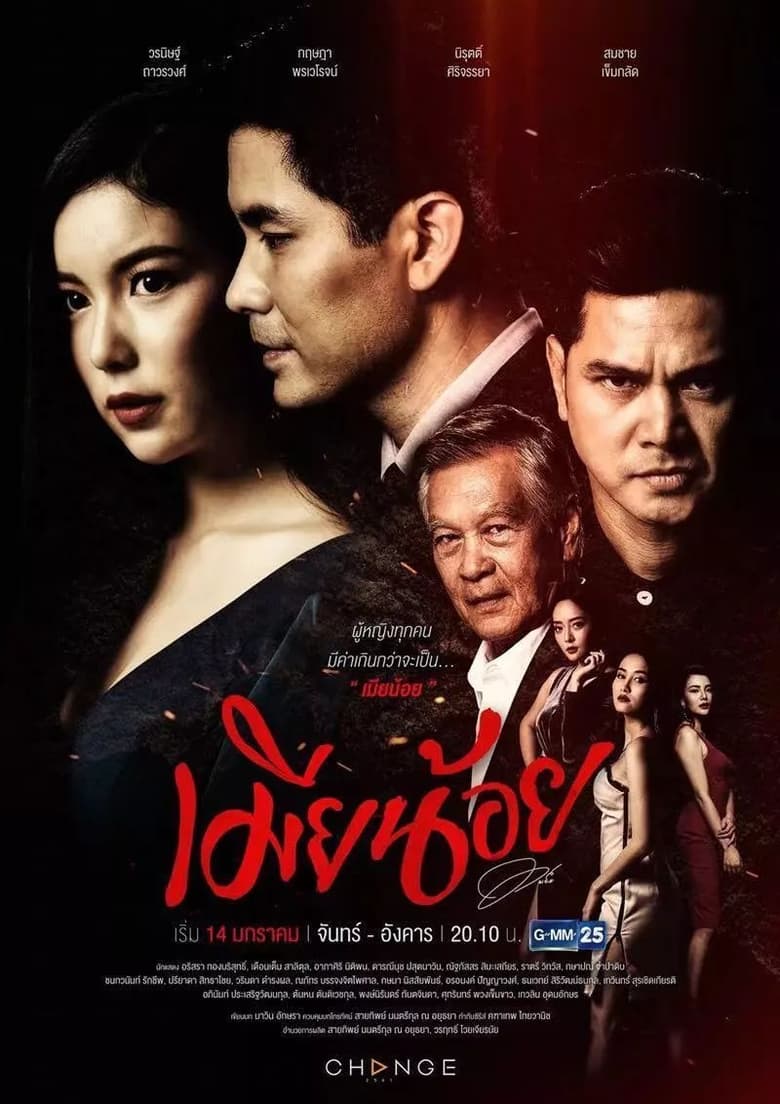 Poster of เมียน้อย