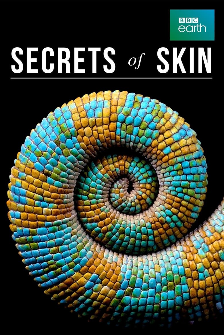 Poster of Episodes in Secrets Of Skin - Season 1 - Season 1