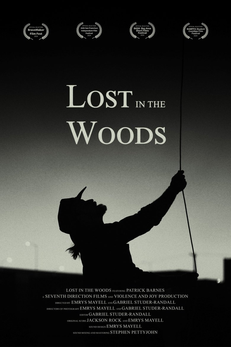 Poster of Lost in the Woods