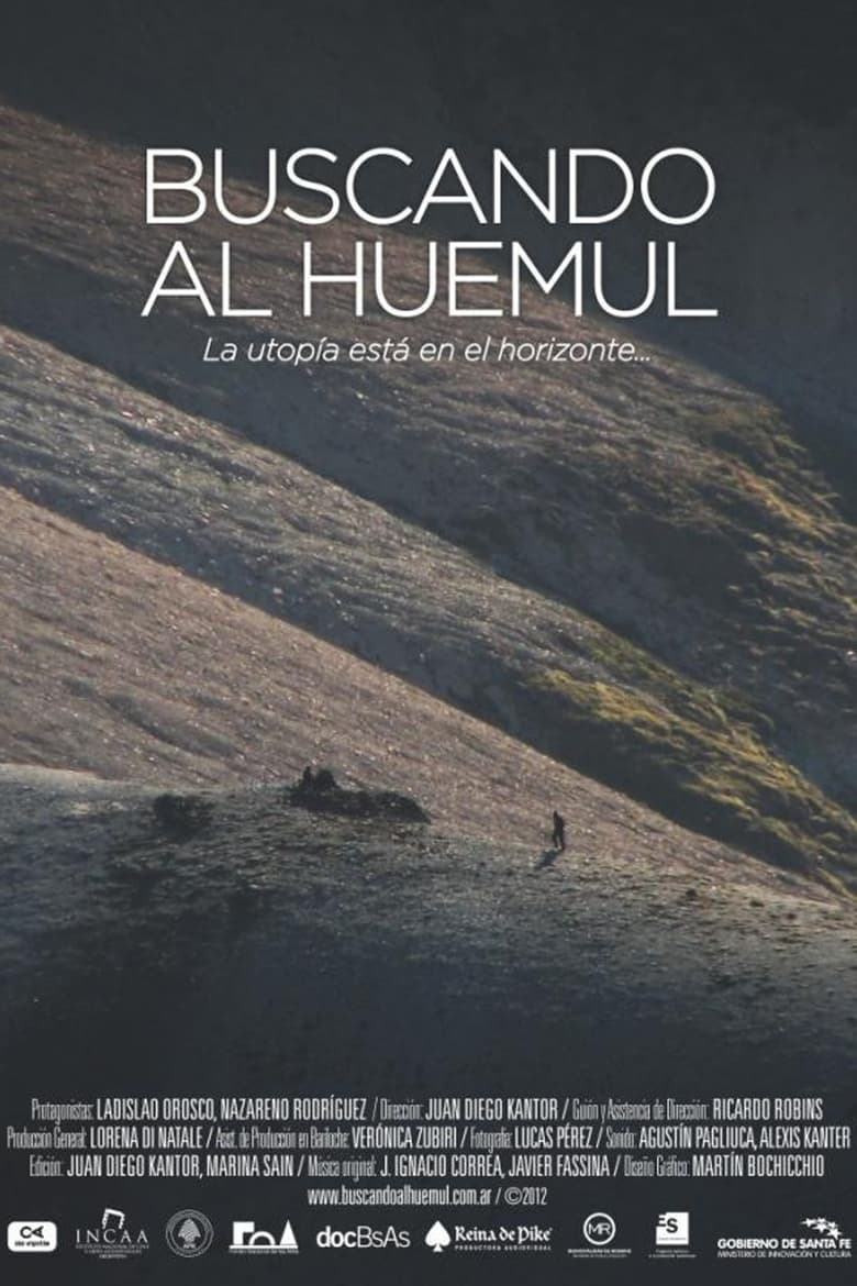 Poster of Buscando al huemul