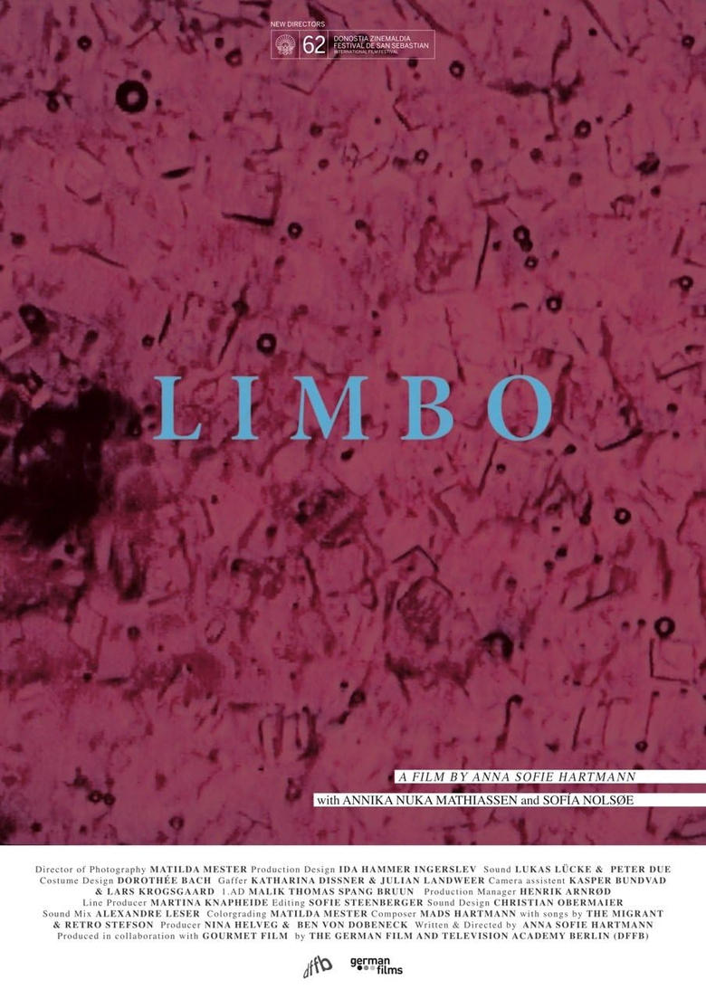 Poster of Limbo