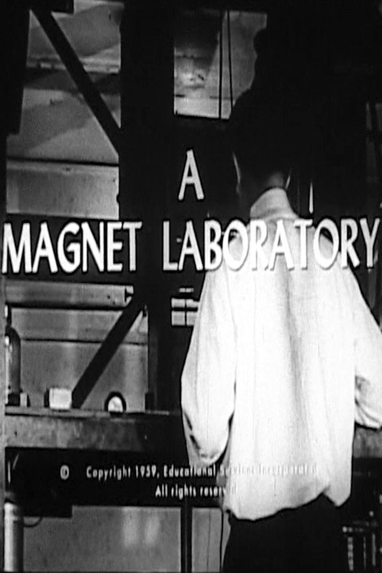 Poster of A Magnet Laboratory