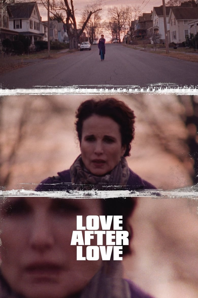 Poster of Love After Love