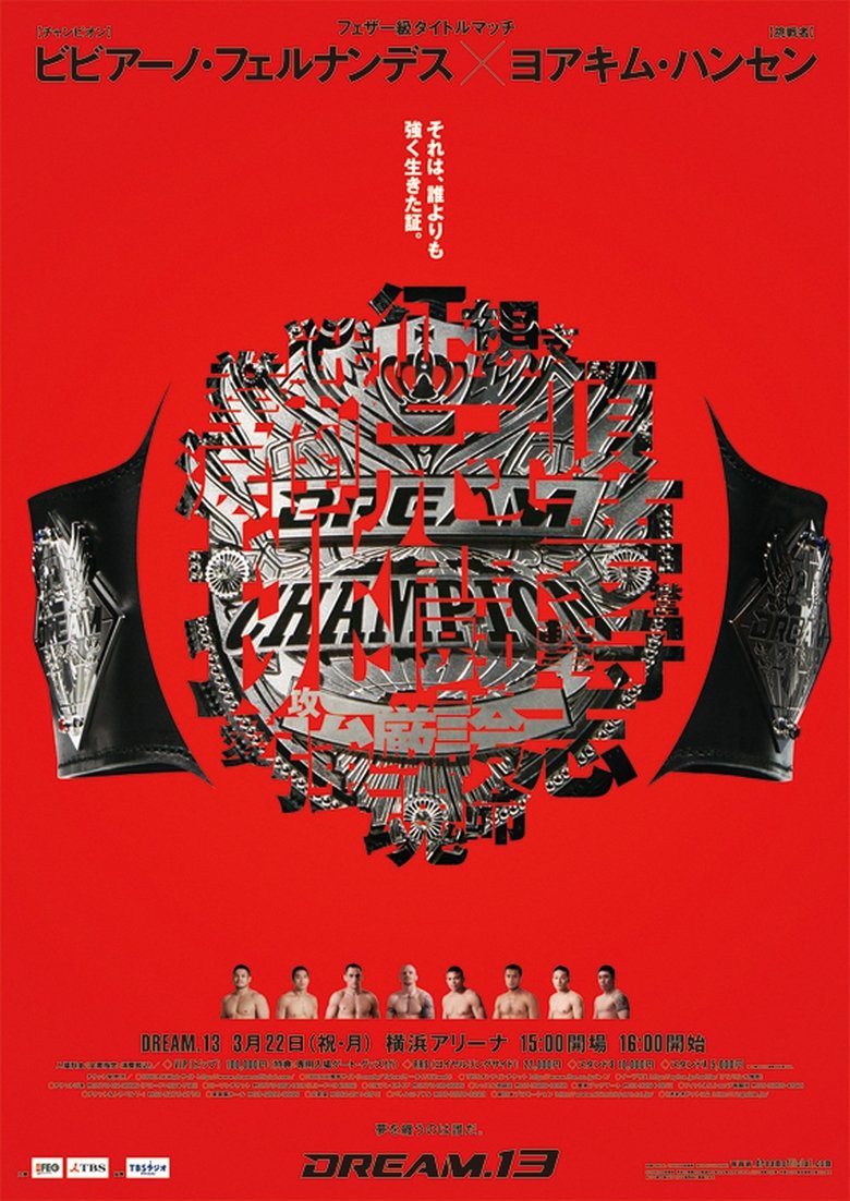 Poster of DREAM 13