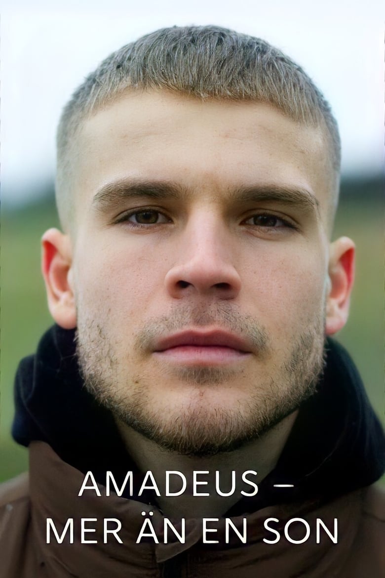 Poster of Amadeus - more than a son