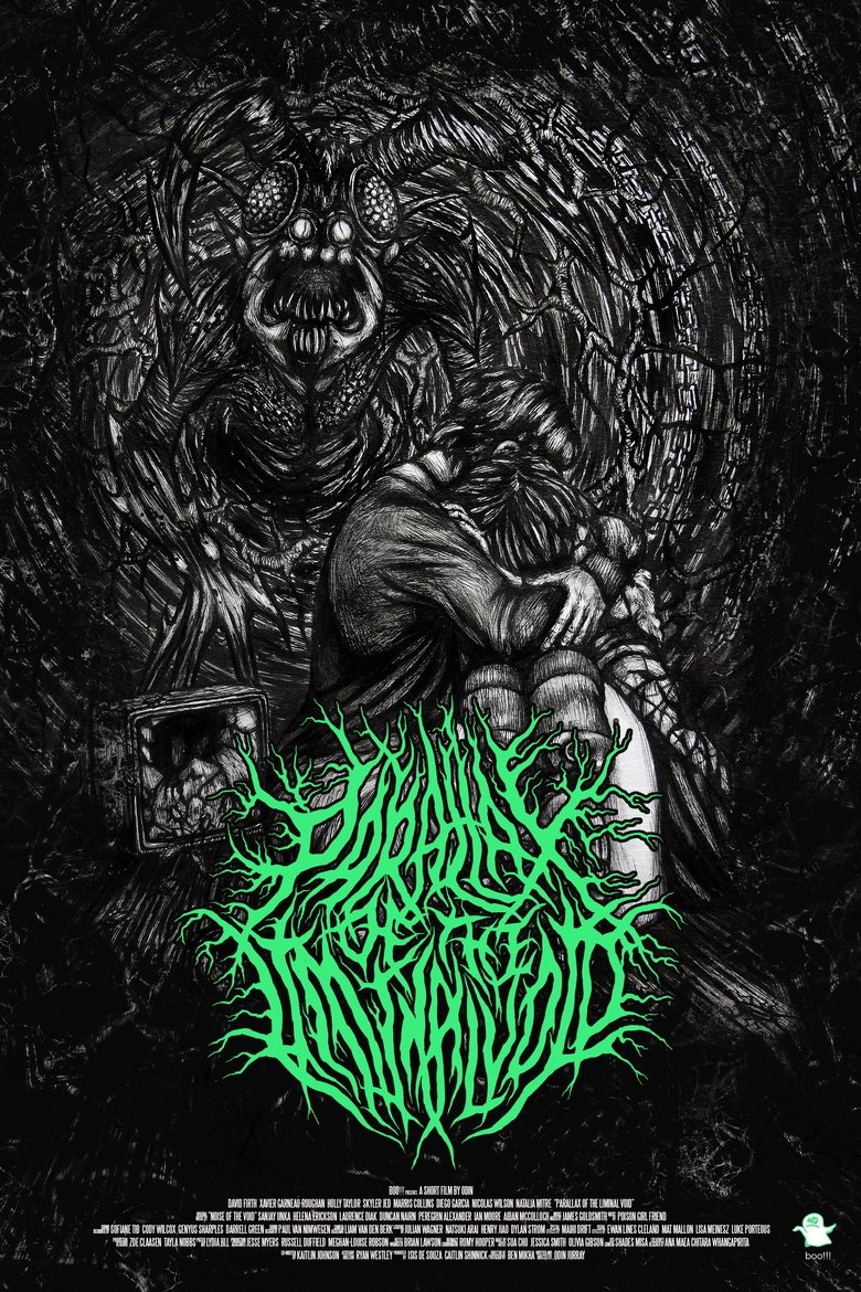 Poster of Parallax Of The Liminal Void