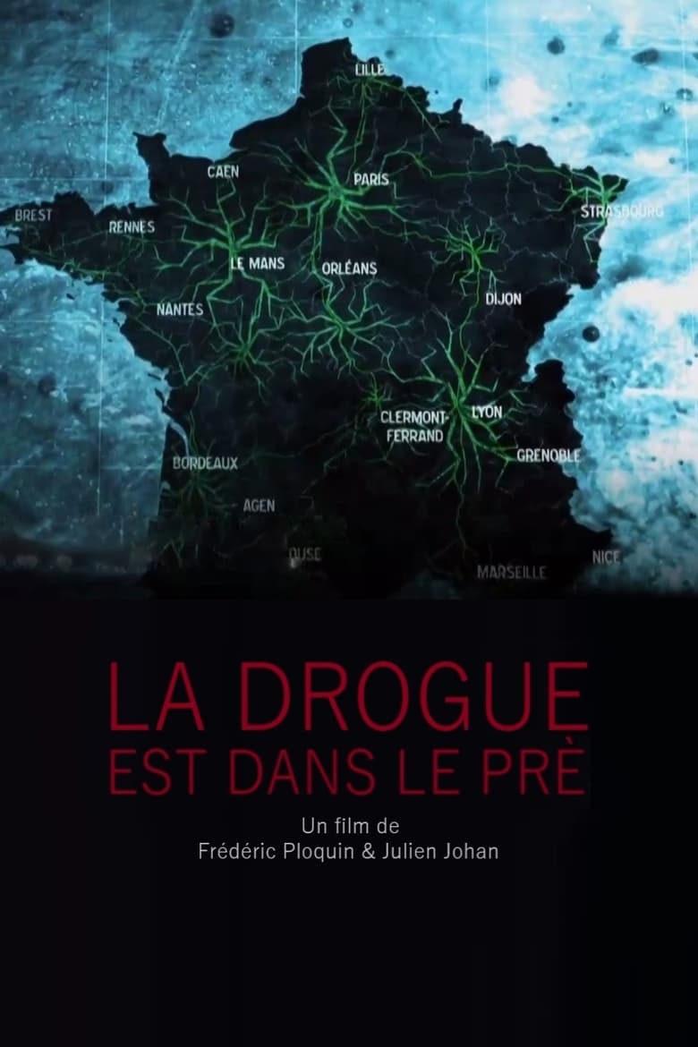 Poster of La drogue est dans le pré