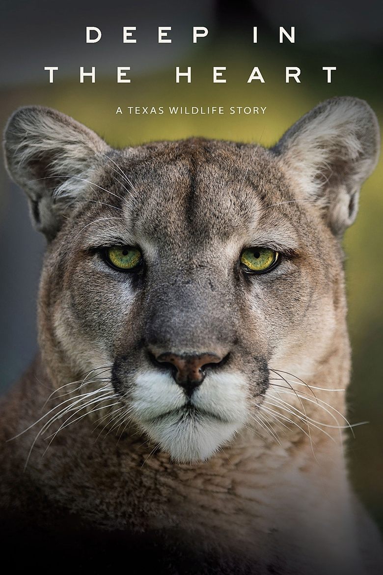 Poster of Deep in the Heart: A Texas Wildlife Story