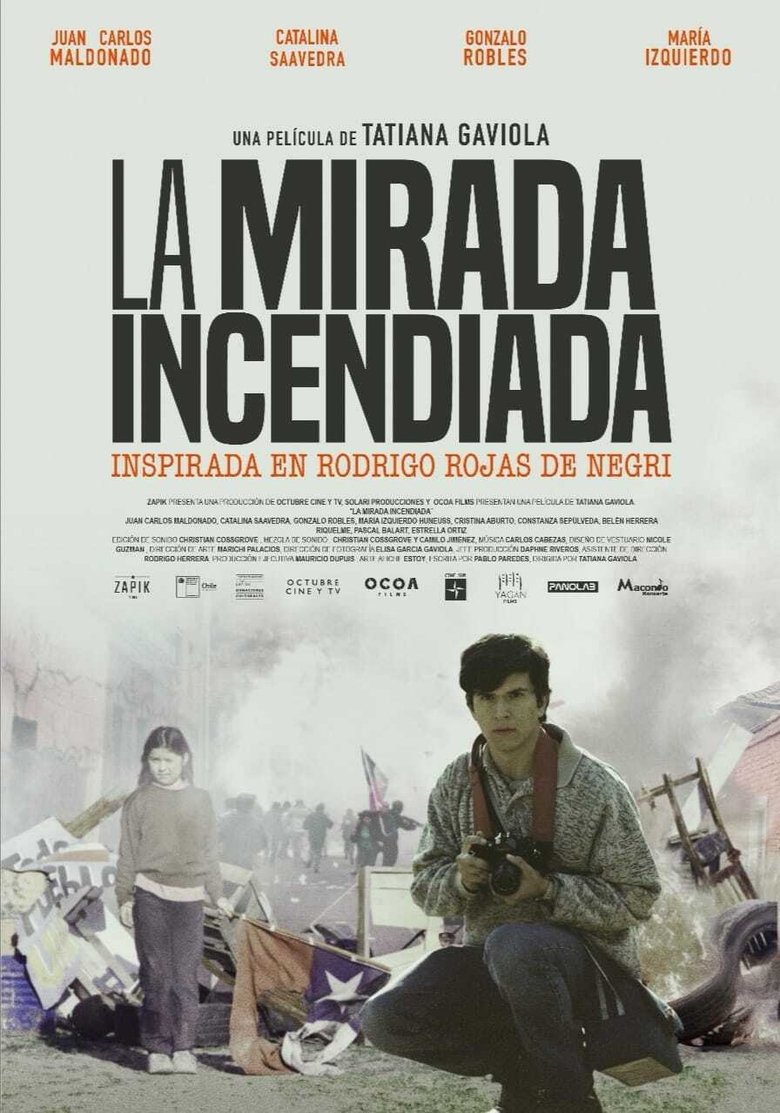 Poster of La mirada incendiada