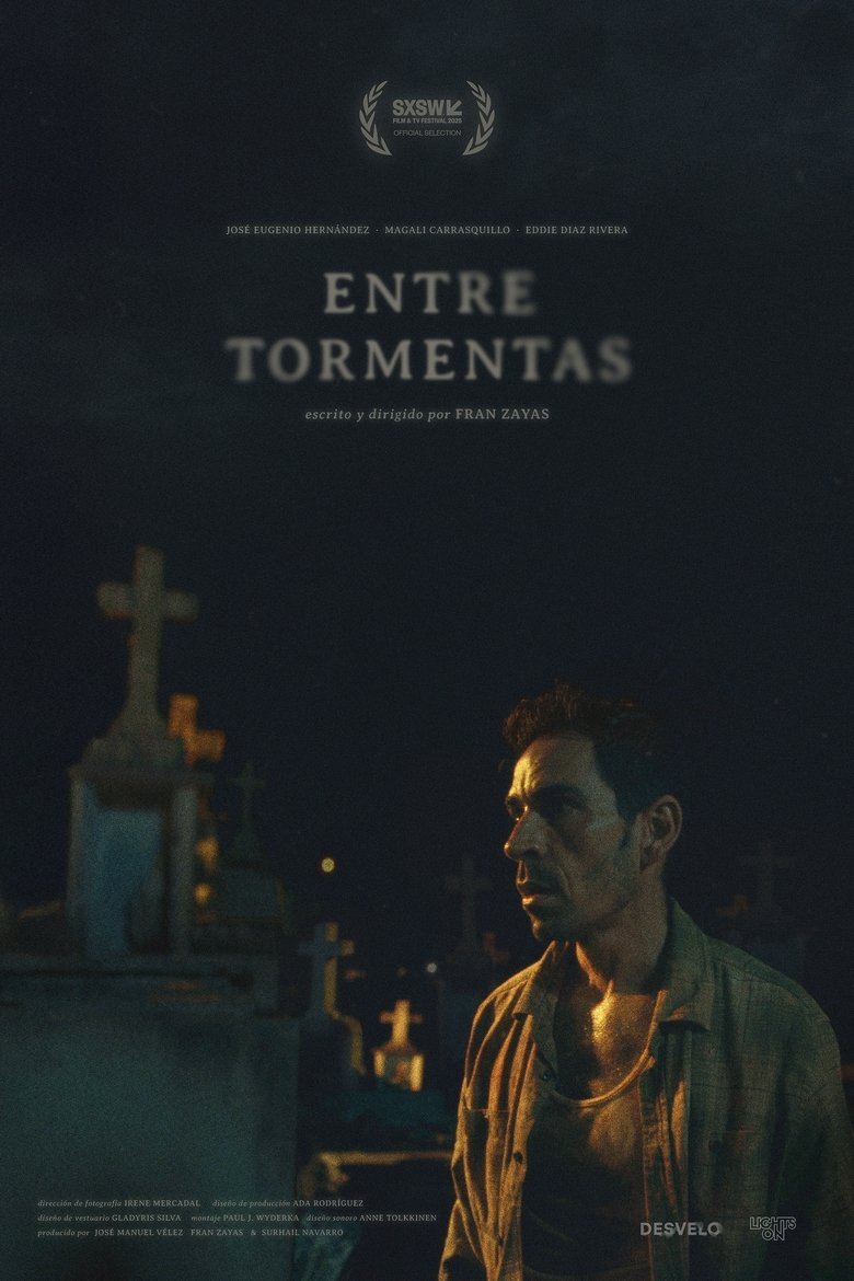 Poster of In Between Storms