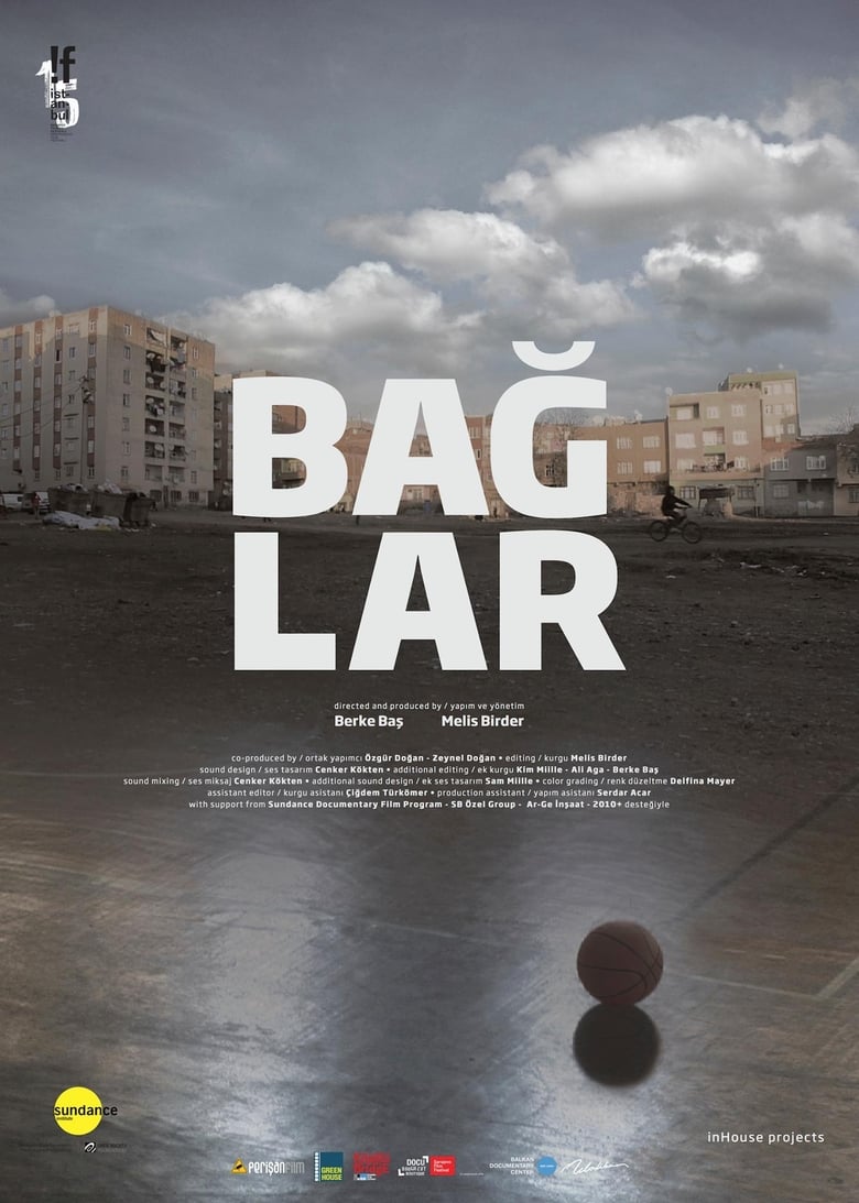 Poster of Baglar