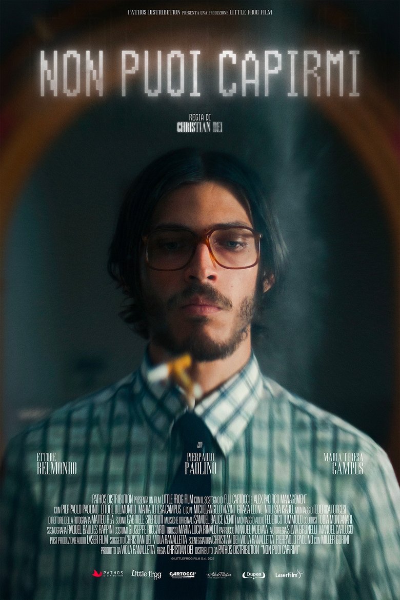 Poster of You can't understand me