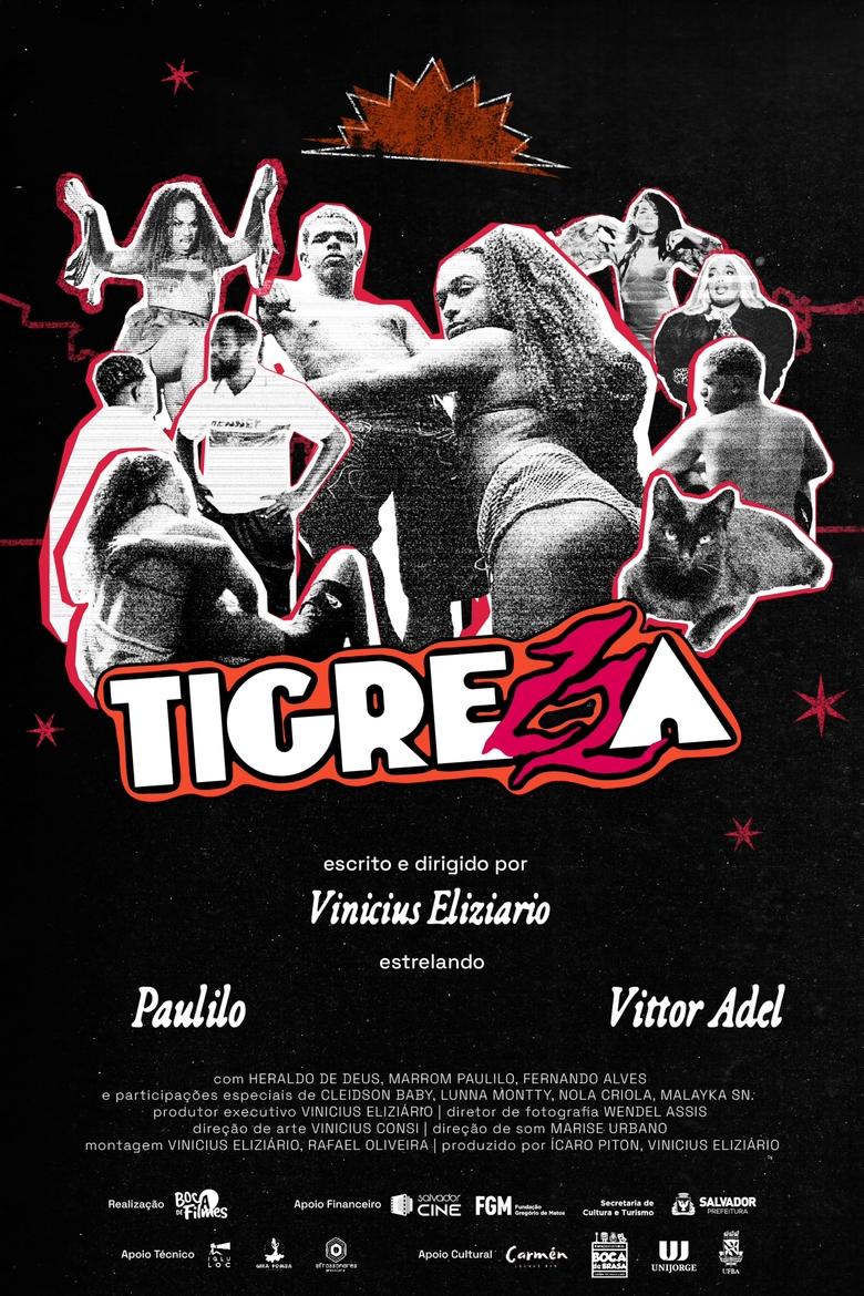 Poster of Tigrezza