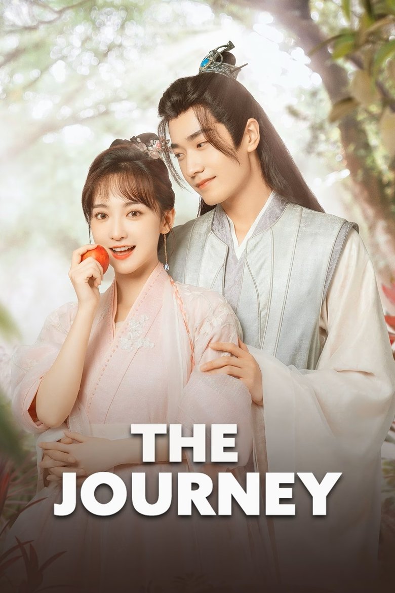 Poster of The Journey