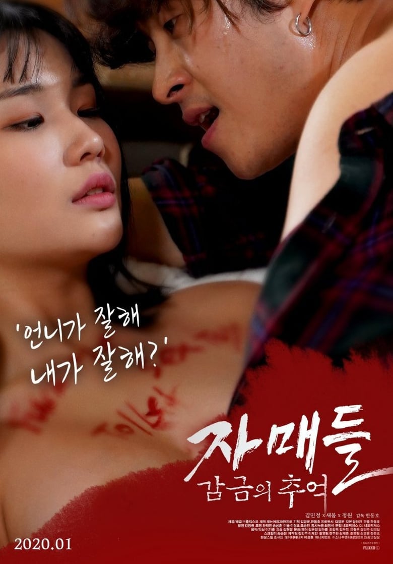 Poster of Sisters: Memories of Confinement