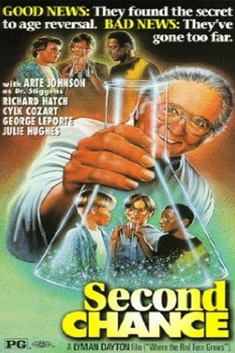 Poster of Second Chance