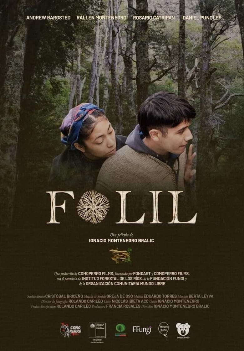 Poster of Folil