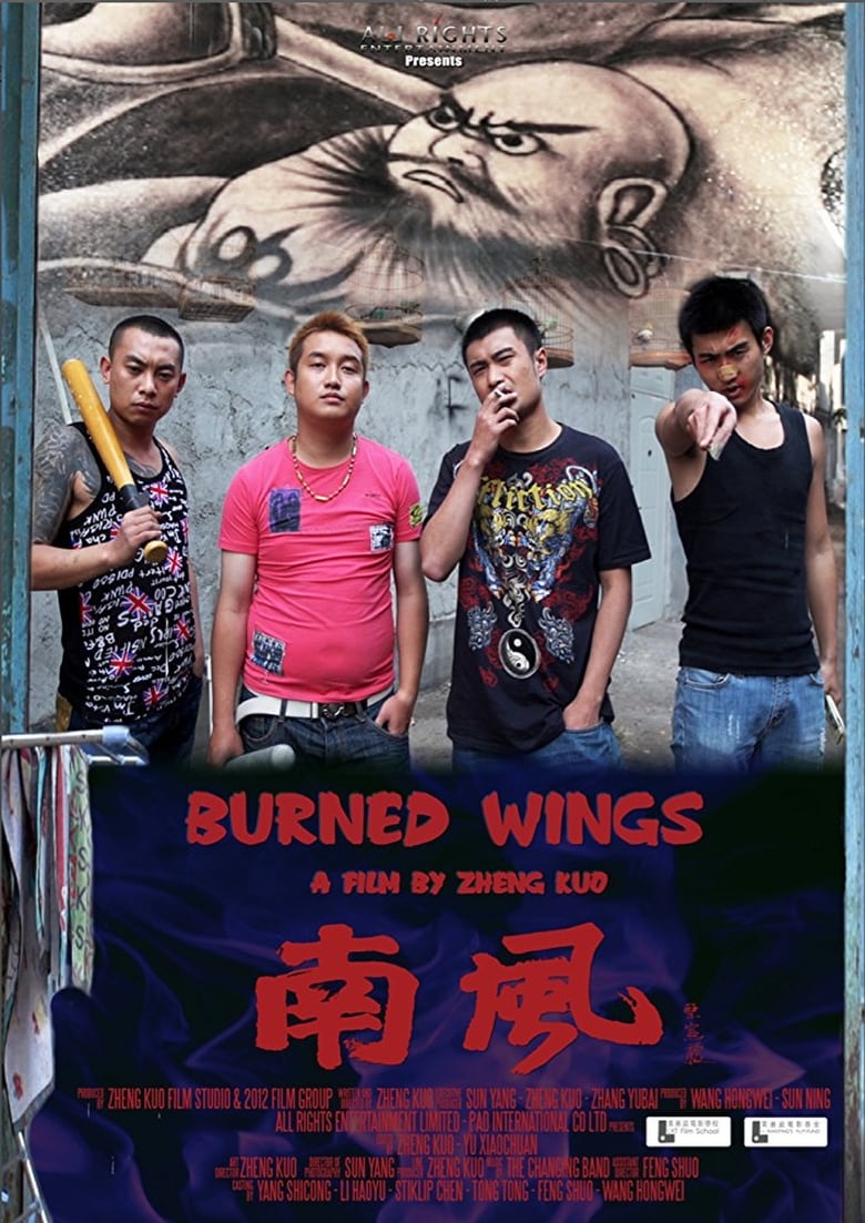 Poster of Burned Wings