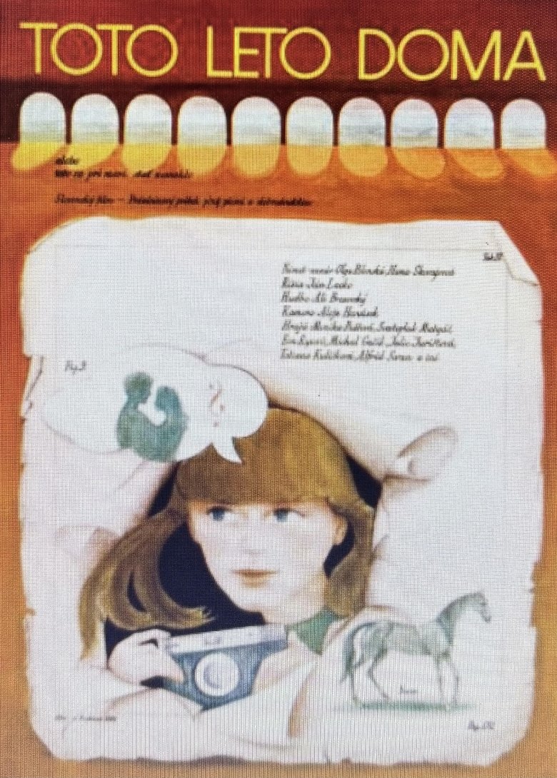 Poster of Toto leto doma