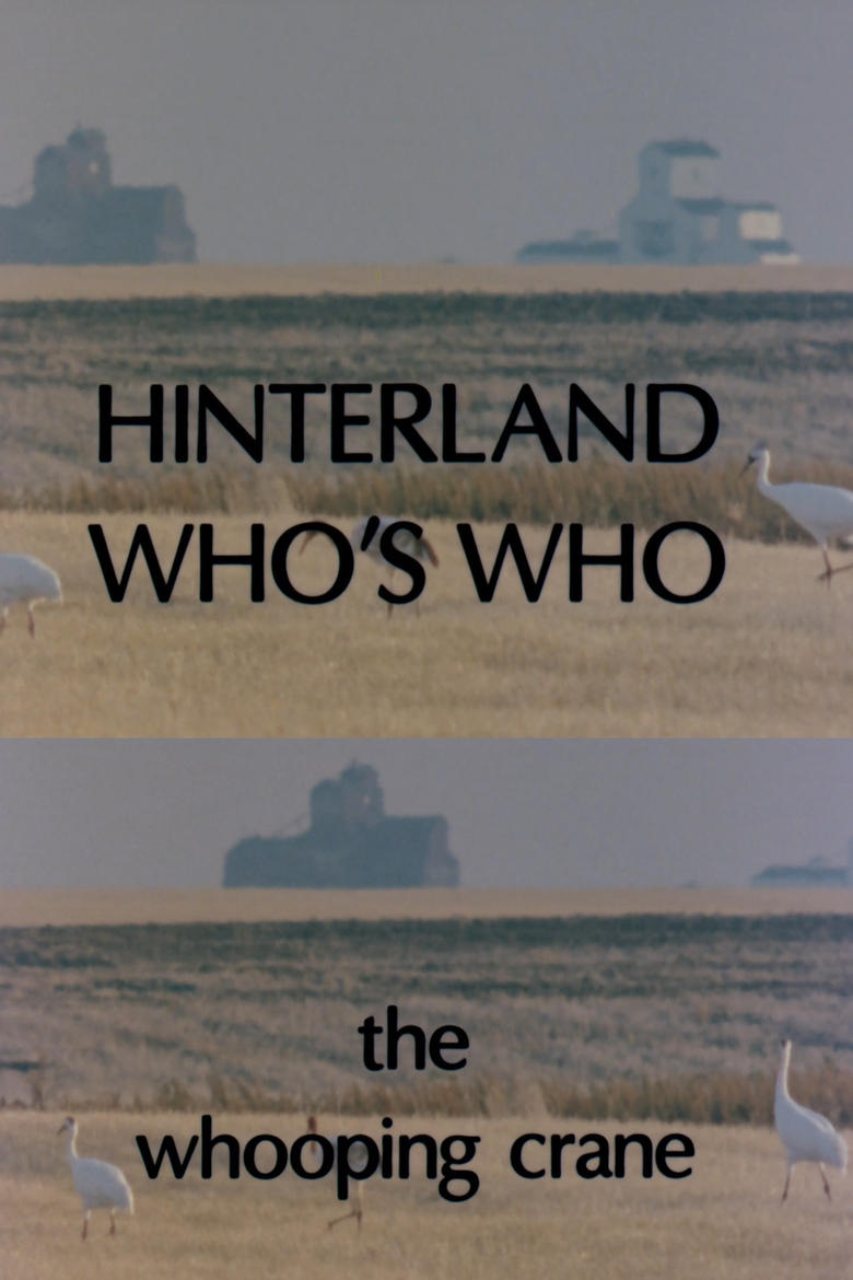 Poster of Hinterland Who's Who: Whooping Crane