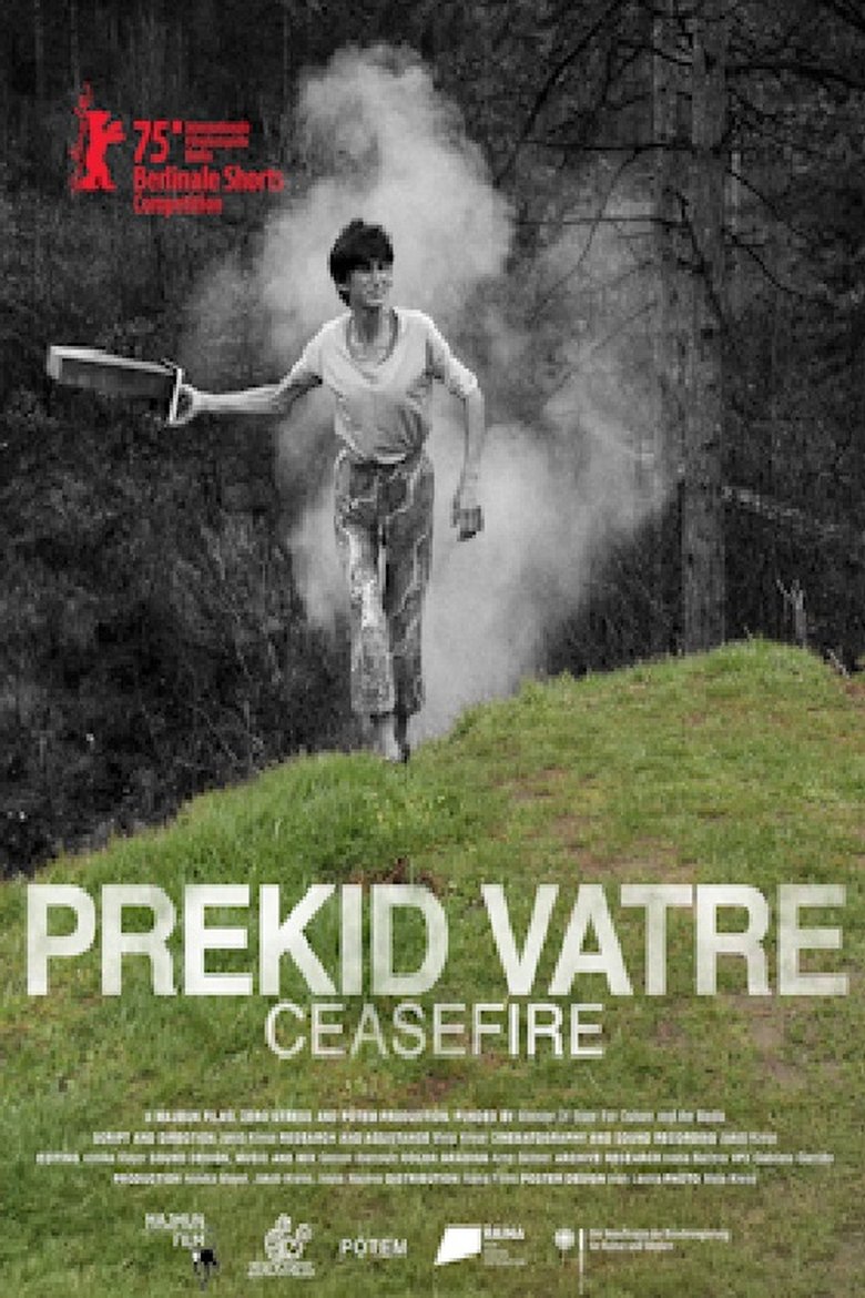 Poster of Ceasefire