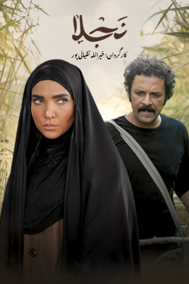 Poster of Najla