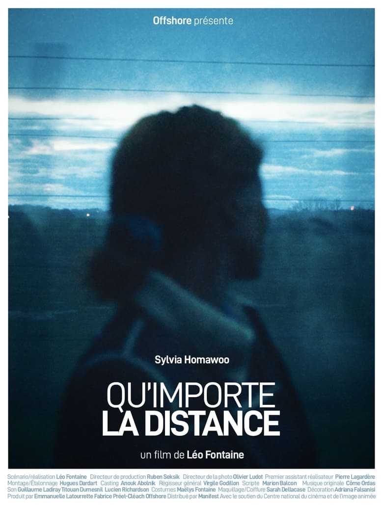 Poster of The Distance Between Us