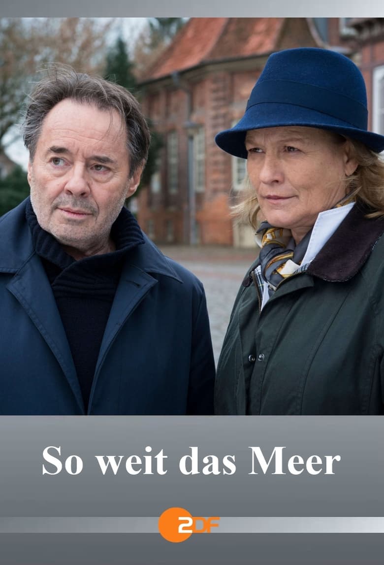 Poster of So weit das Meer