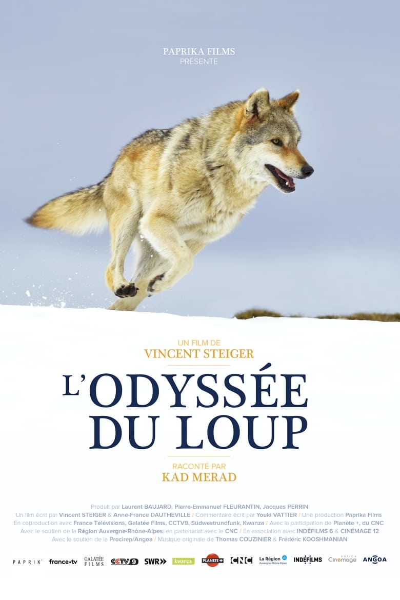 Poster of A Wolf's Journey