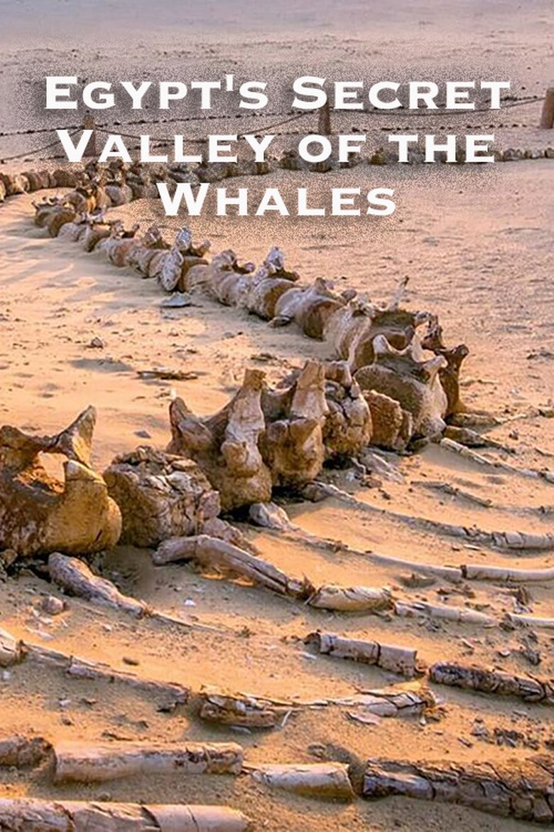 Poster of Egypt's Secret Valley of the Whales