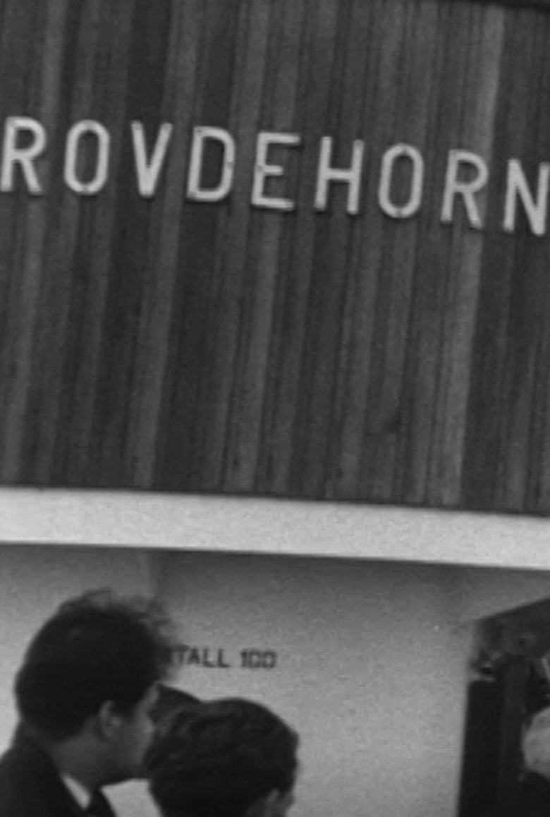 Poster of ROVDEHORN