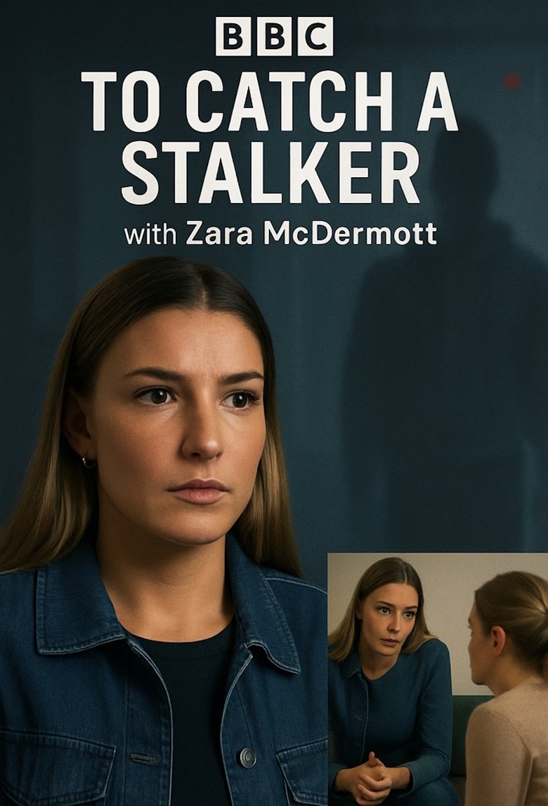 Poster of To Catch a Stalker