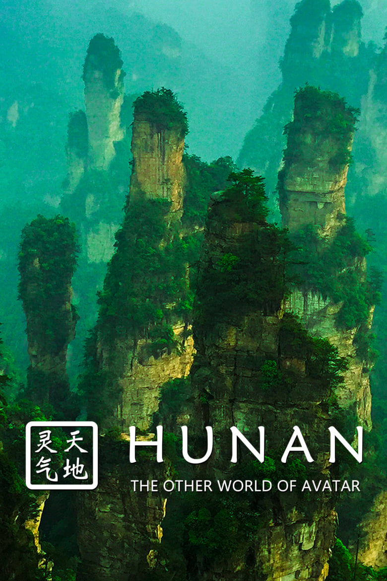 Poster of Hunan: The Other World of Avatar