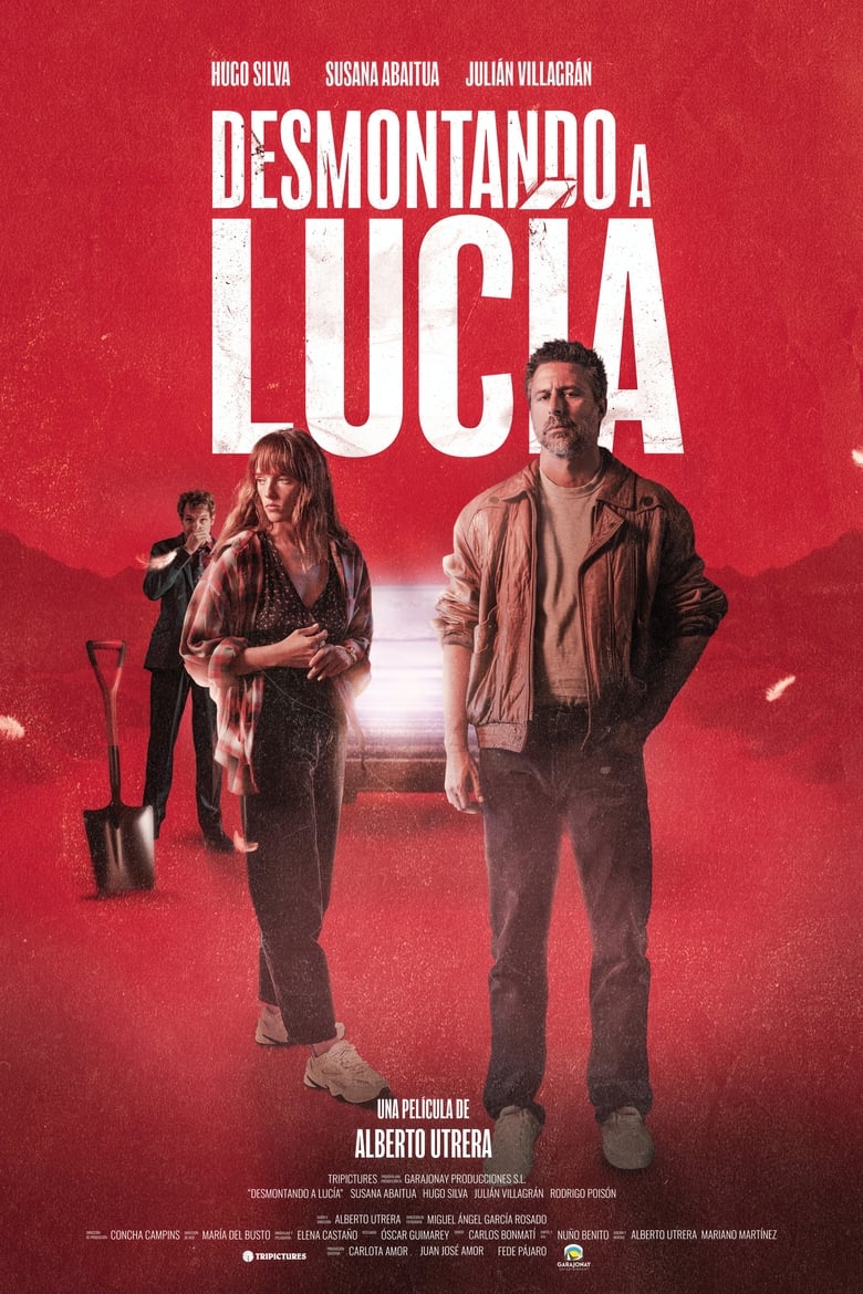 Poster of Desmontando a Lucía