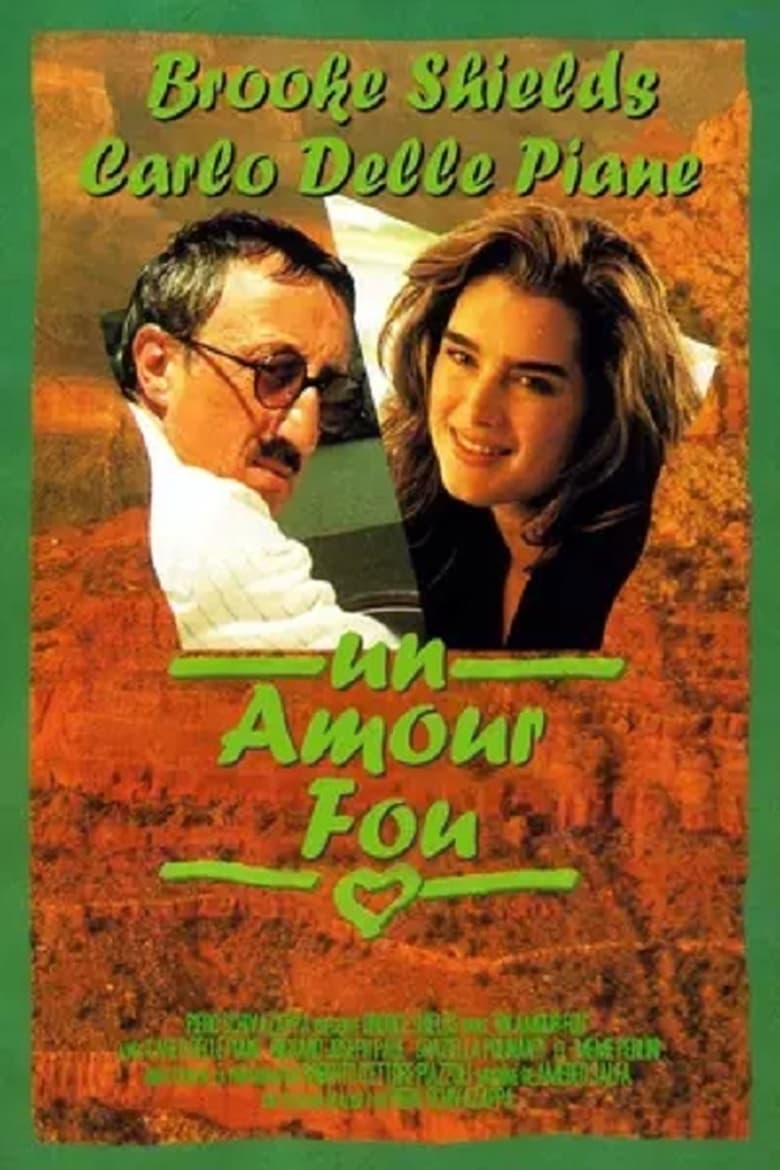 Poster of An American Love