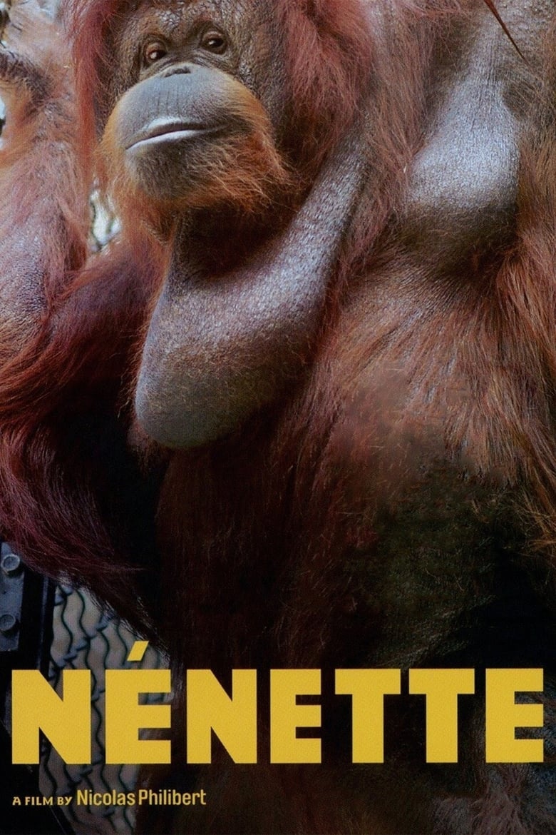 Poster of Nénette