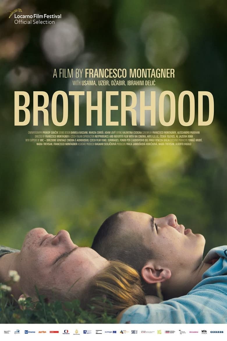 Poster of Brotherhood