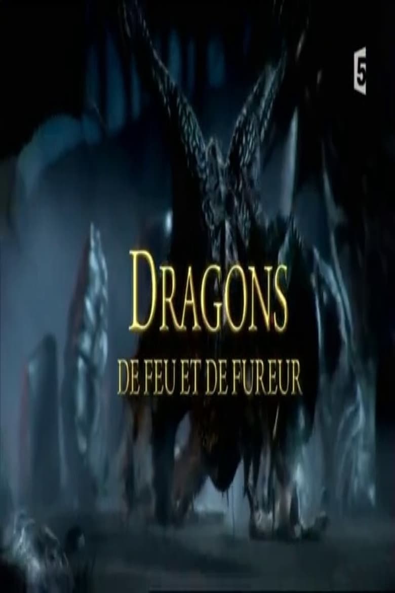 Poster of Dragons de feu et de fureur