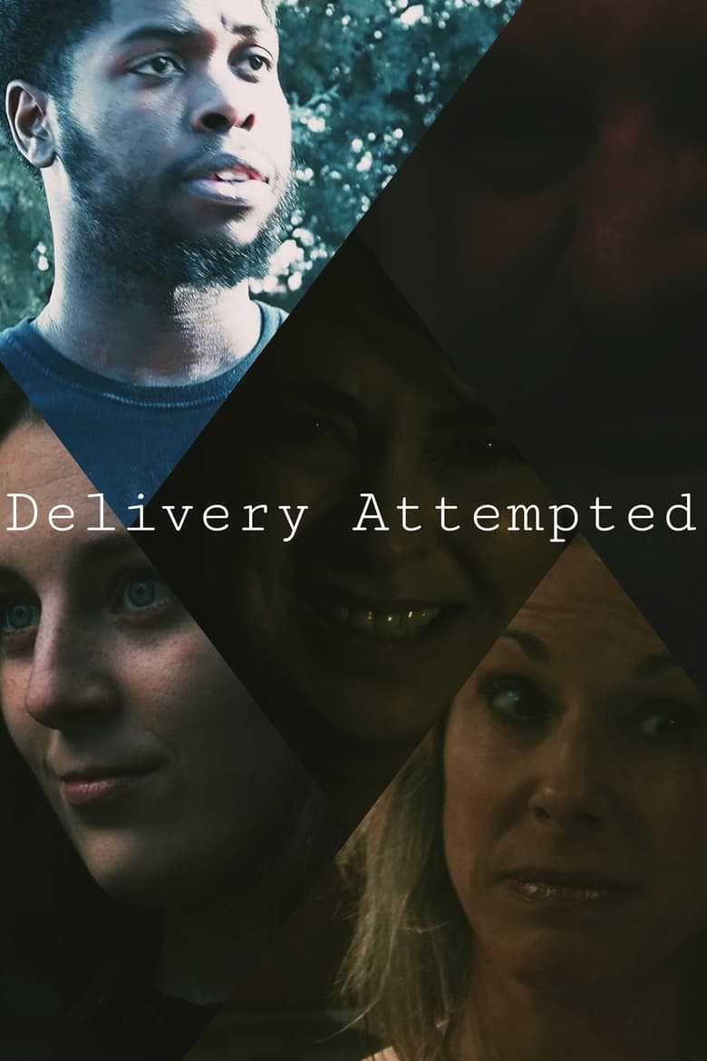 Poster of Delivery Attempted