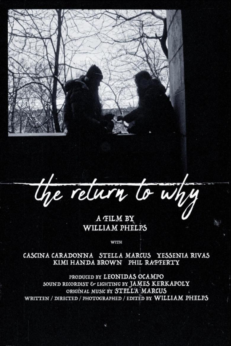 Poster of The Return to Why