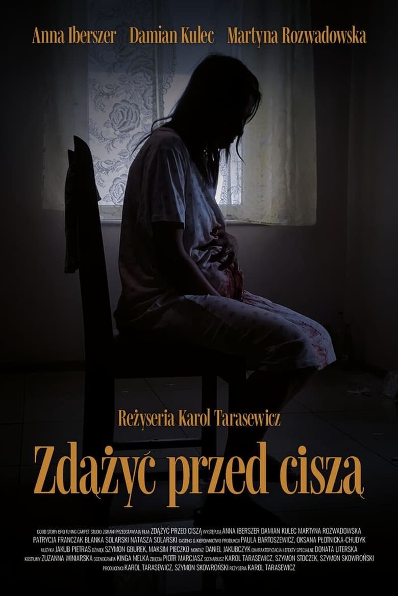 Poster of Zdążyć przed ciszą