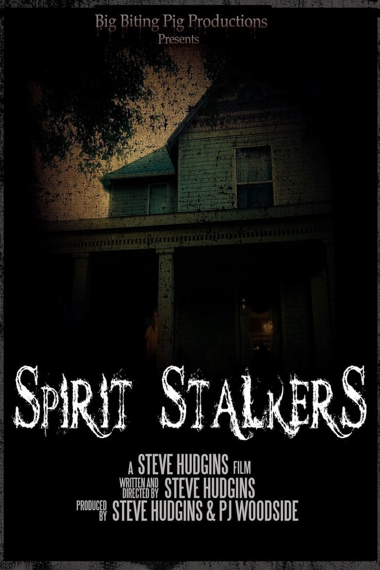 Poster of Spirit Stalkers