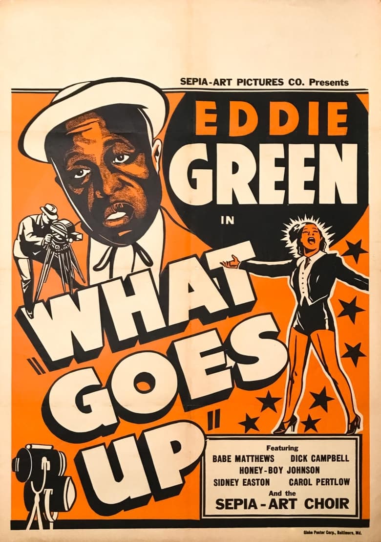 Poster of What Goes Up