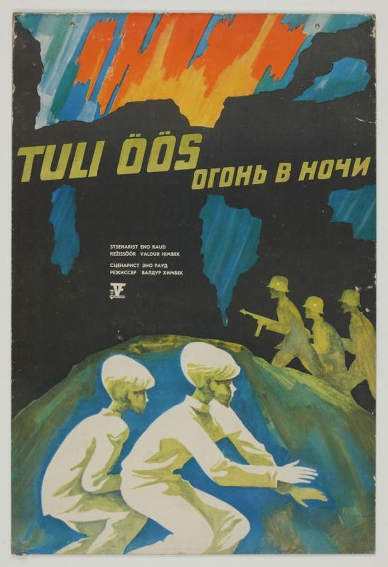 Poster of Fire in the Night