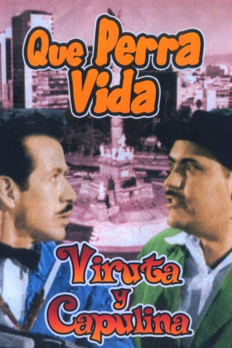 Poster of Qué perra vida