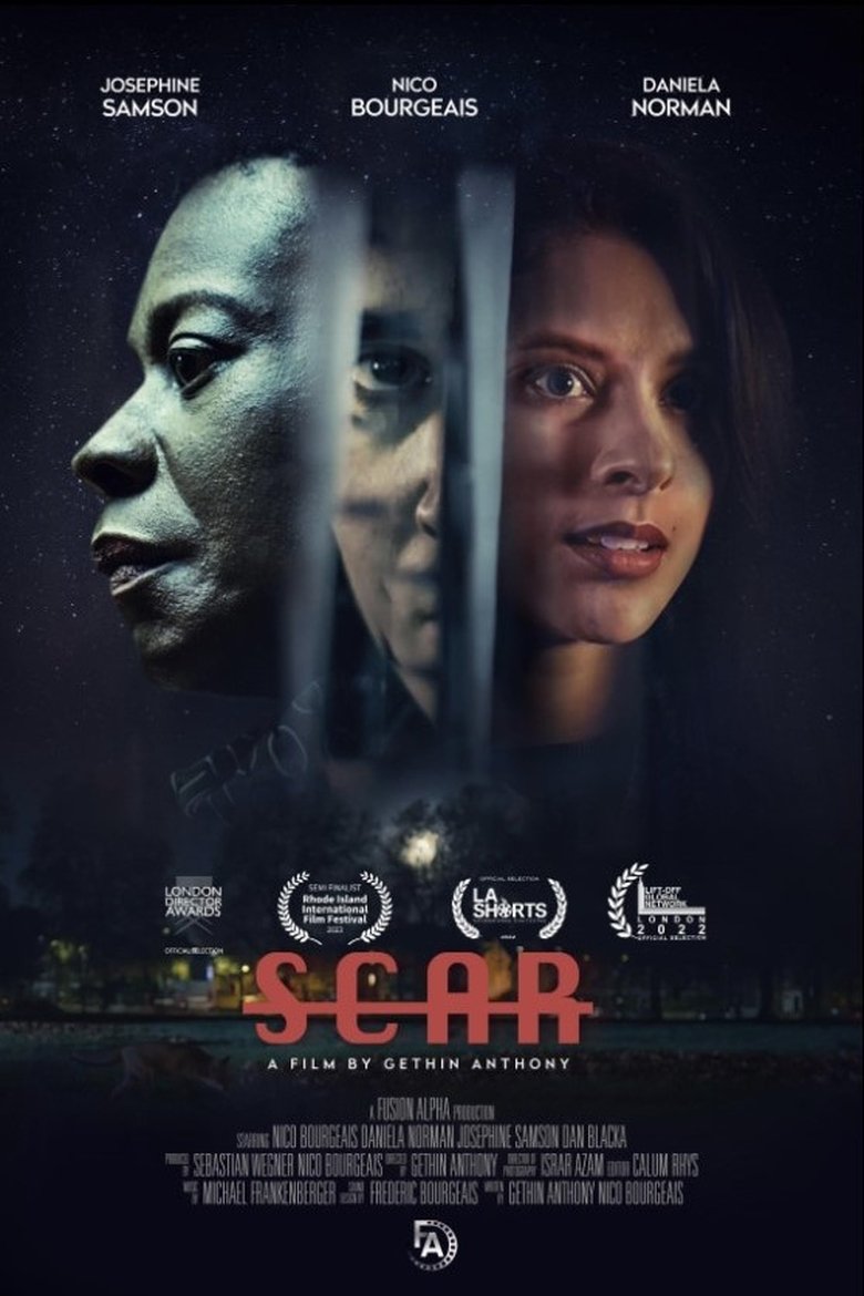 Poster of Scar