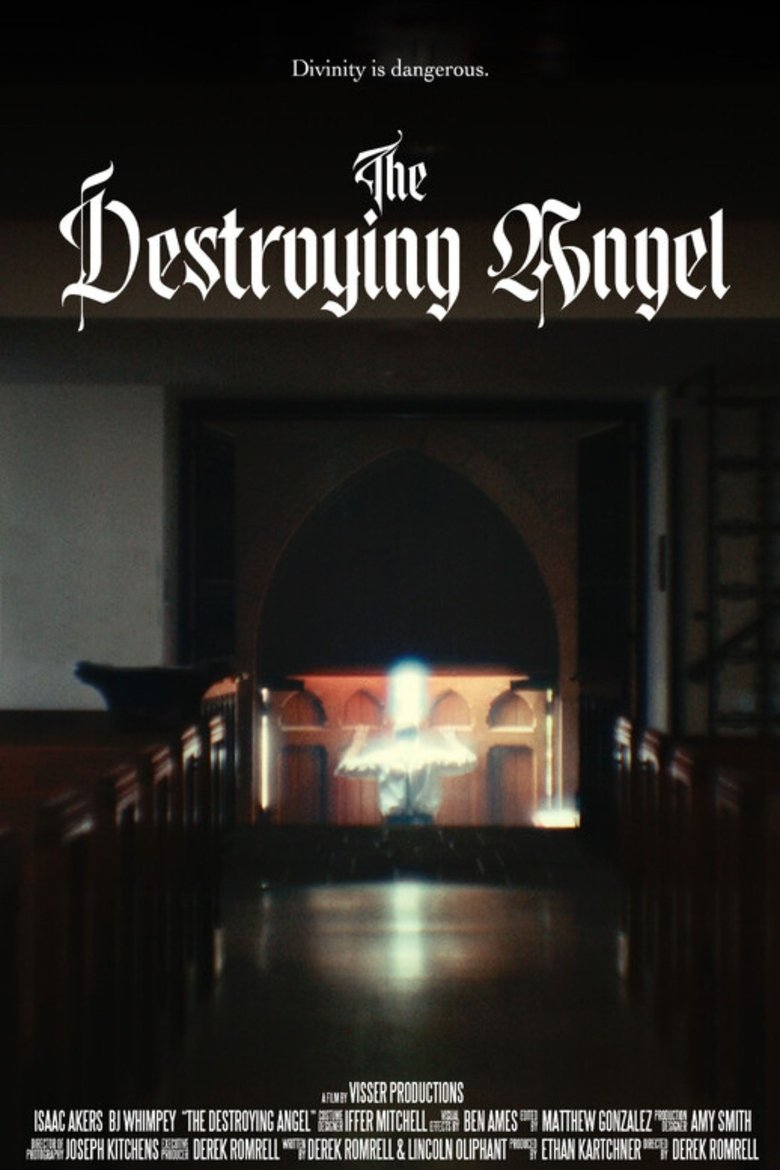 Poster of The Destroying Angel