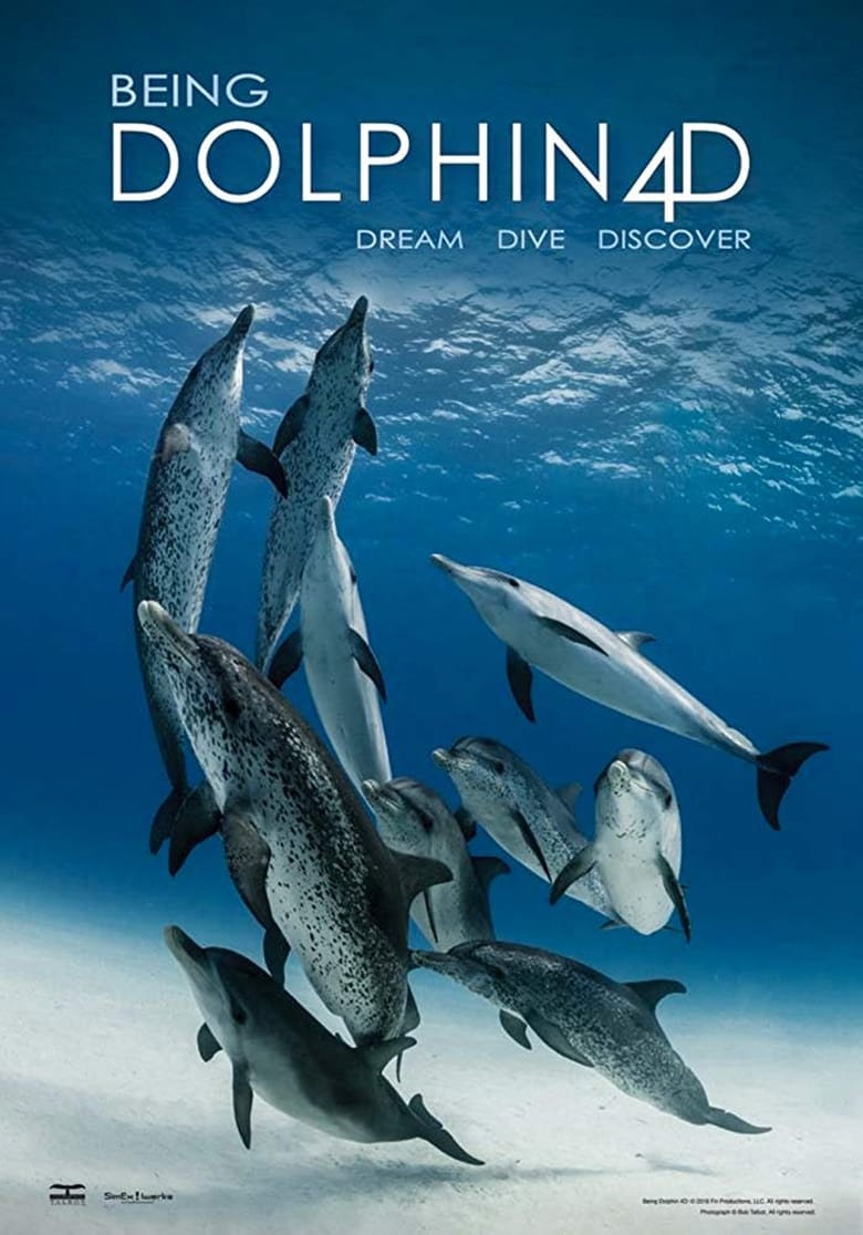 Poster of Being Dolphin 4D