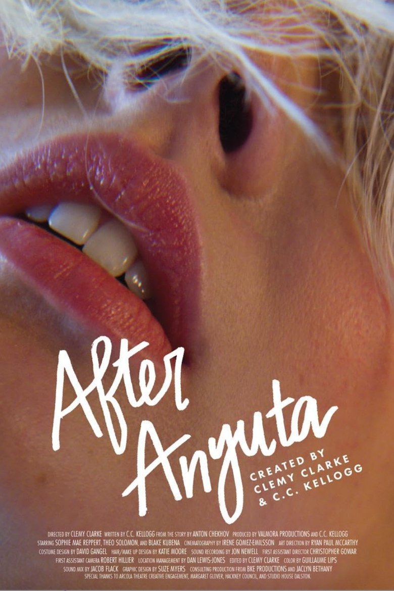 Poster of After Anyuta