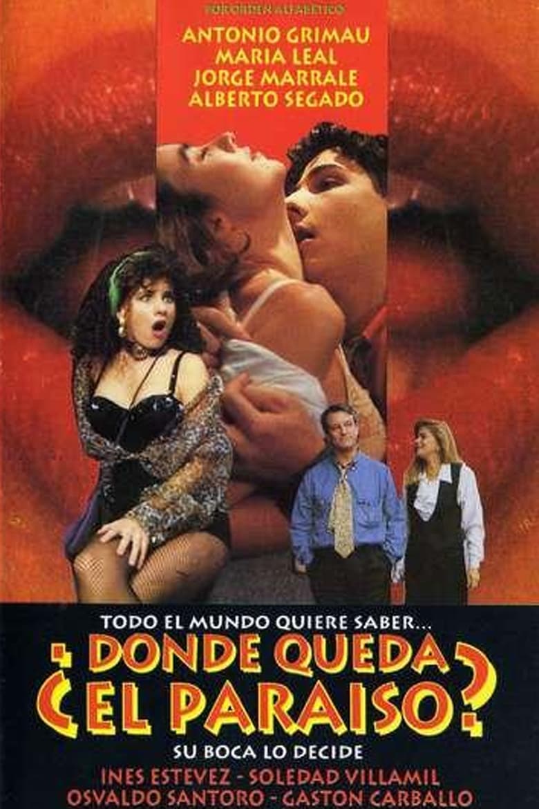 Poster of ¿Dónde queda el paraíso?